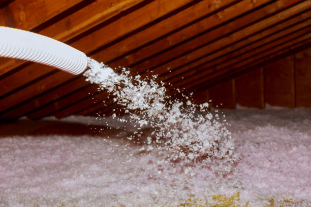 Professional Insulation Contractor in Lockport, IL