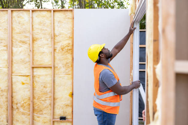 Best Insulation for New Construction  in Lockport, IL